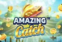 Amazing Catch