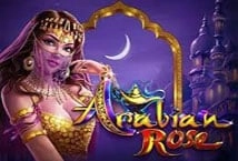 Arabian Rose (Ainsworth)