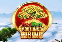 Bao Tree Fortunes Rising