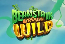 Beanstalk Grows Wild