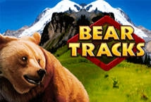 Bear Tracks