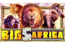 Big 5 Africa