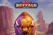 Big Buffalo