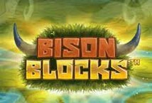 Bison Blocks