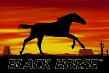 Black Horse