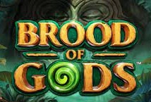 Brood of Gods