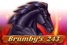 Brumby's 243