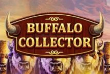 Buffalo Collector