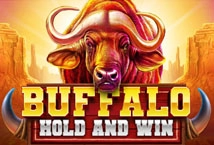 Buffalo Hold and Win