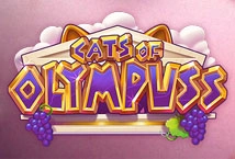 Cats of Olympuss