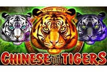 Chinese Tigers