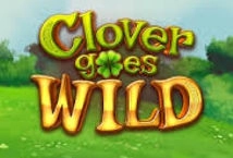 Clover Goes Wild