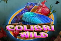 Colibri Wild