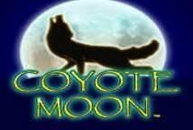 Coyote Moon