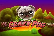 Crazy Pug