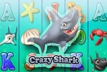 Crazy Shark