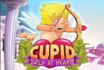 Cupid Wild At Heart