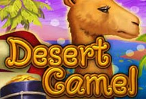 Desert Camel