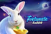 Fortunate Rabbit