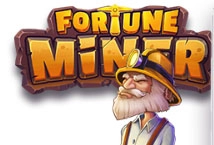 Fortune Miner