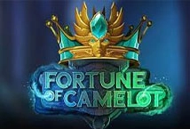 Fortune of Camelot