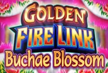 Golden Fire Link Buchae Blossom