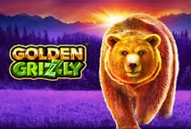 Golden Grizzly