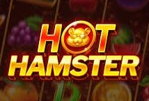 Hot Hamster