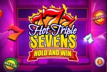 Hot Triple Sevens Hold & Win