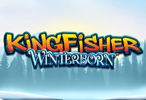 Kingfisher Winterborn