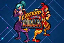 Legend of the Ninja