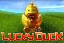 Lucky Duck