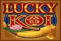 Lucky Koi