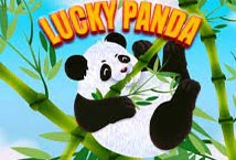 Lucky Panda