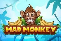 Mad Monkey