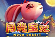 Moon Rabbit