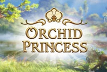 Orchid Princess