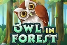 Owl In Forest