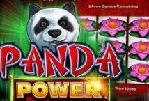 Panda Power