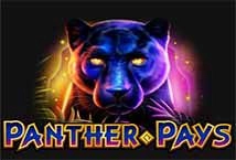 Panther Pays