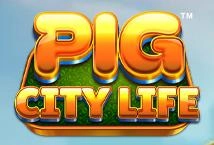 Pig City Life