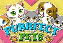 Purrfect Pets