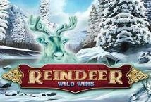 Reindeer Wild Wins