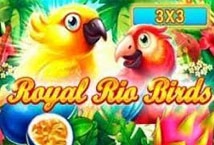 Royal Rio Birds (3x3)