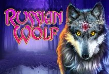 Russian Wolf