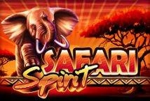 Safari Spirit