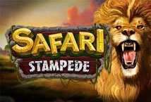 Safari Stampede