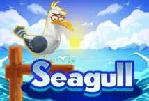 Seagull