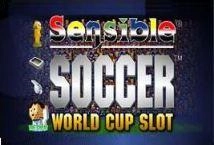 Sensible Soccer World Cup