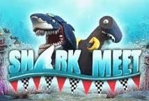 Shark Meet